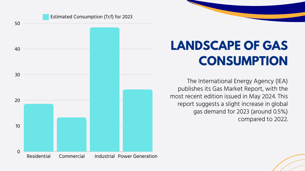 The Global Landscape of Gas Consumption