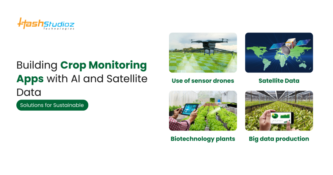 Developing Crop Monitoring Apps with AI and Satellite Data