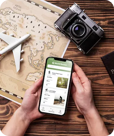 Travel, Transportation & Hospitality