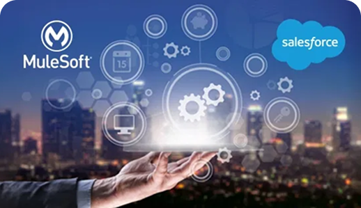 MuleSoft Consulting Services