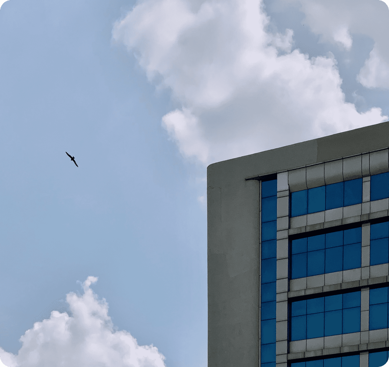 Contact Us - HashStudioz Technologies