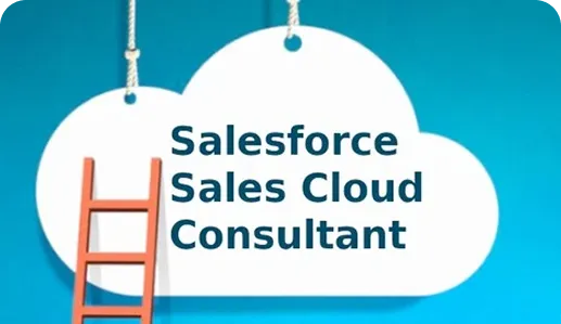 Sales Cloud Consulting