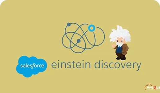 Einstein Discovery Setup