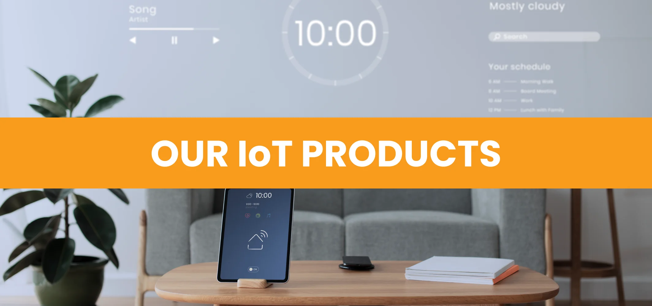 Our IoT Products