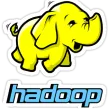 Hadoop Big Data Services